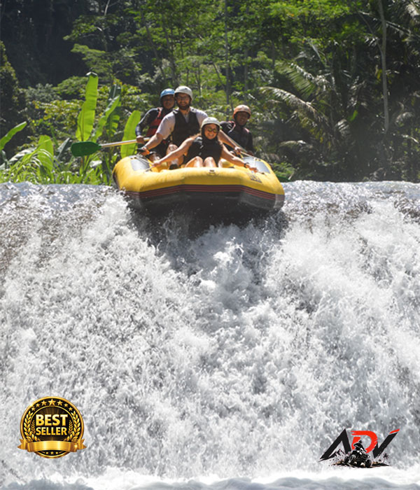 Telaga Waja River Rafting tour in Telaga Waja River, Karangasem