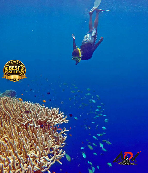Nusa Penida With Snorkeling tour in Nusa Penida