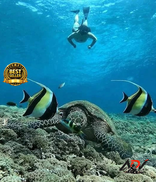 Gili Trawangan Snorkeling 2 Day tour in Gili Trawangan