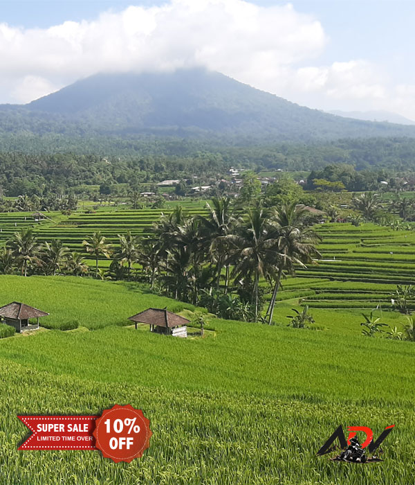 Bali Tour Package 5 Day tour in Bali