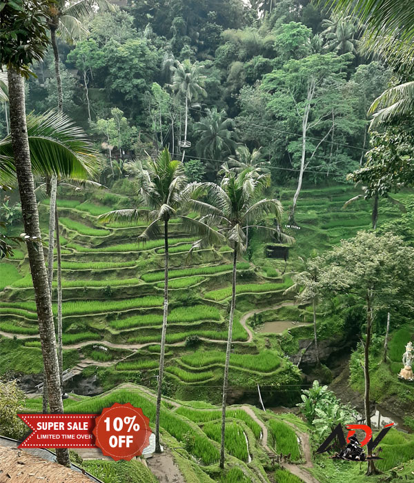 Bali Tour Package 2 Day tour in Bali