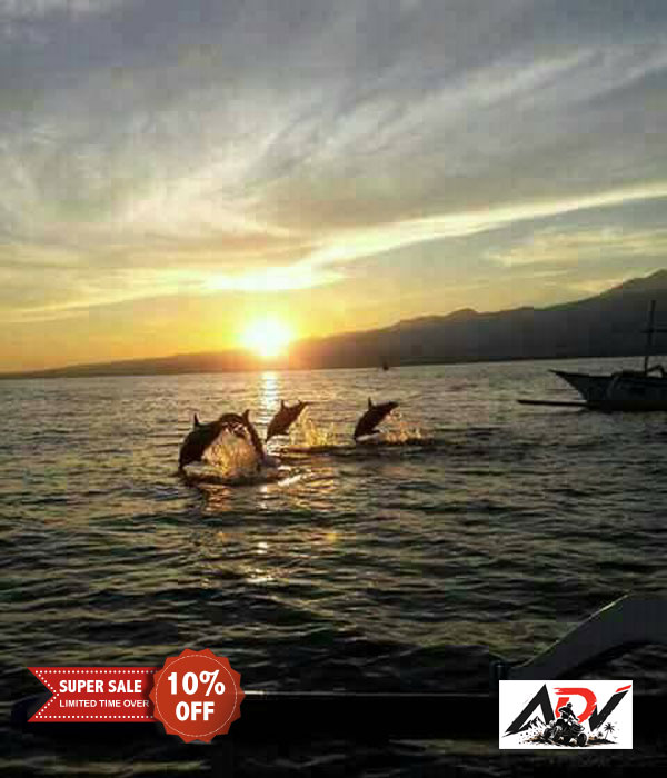 Lovina Dolphin Tour tour in Lovina, North Bali