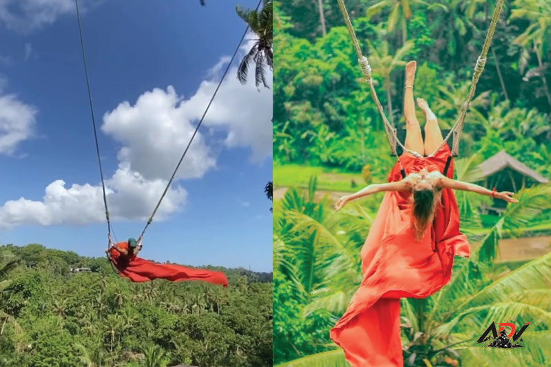 Swing Heaven and Fish Pond guest moment 1