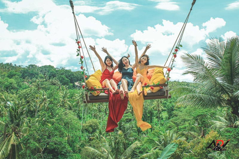 Swing Heaven and Fish Pond guest moment 2