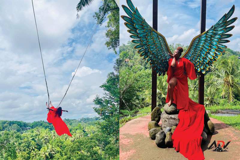 Swing Heaven and Fish Pond guest moment 8