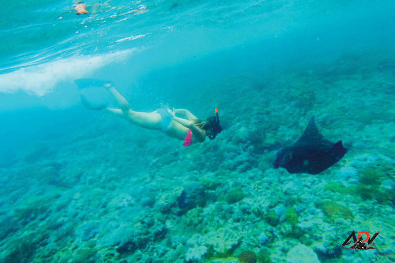 Nusa Penida With Snorkeling guest moment 2