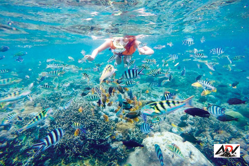 Nusa Penida With Snorkeling guest moment 3