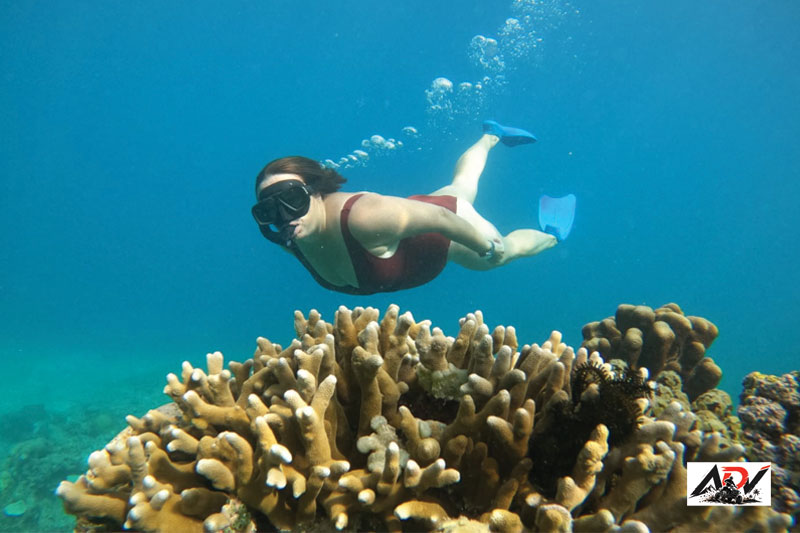 Gili Trawangan Snorkeling 2 Day guest moment 1