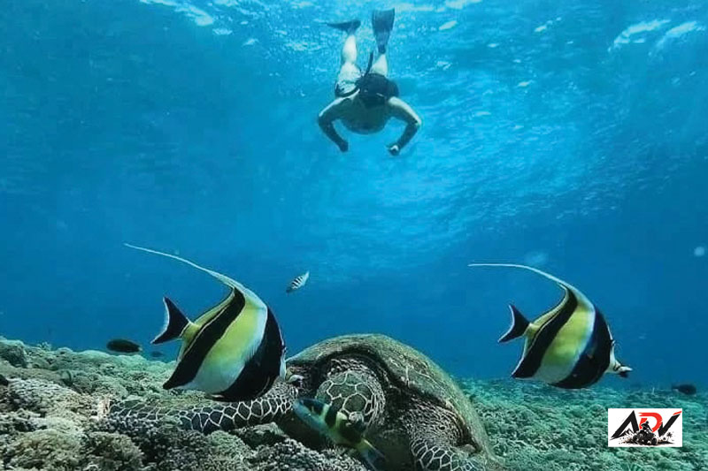 Gili Trawangan Snorkeling 2 Day guest moment 2