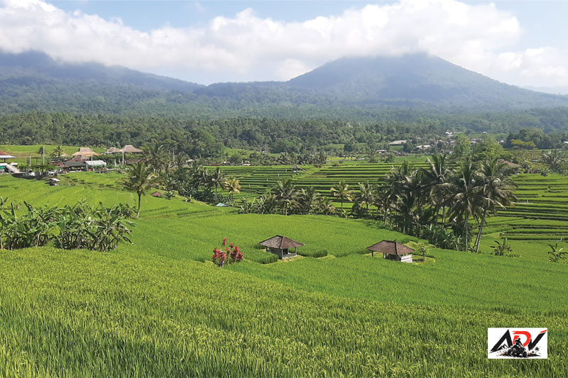 Bali Tour Package 4 Day guest moment 5