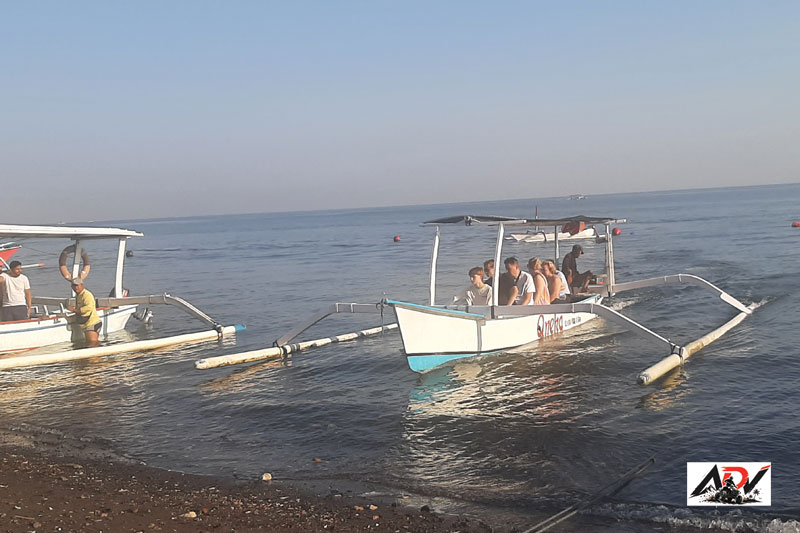 Lovina Dolphin Tour guest moment 1