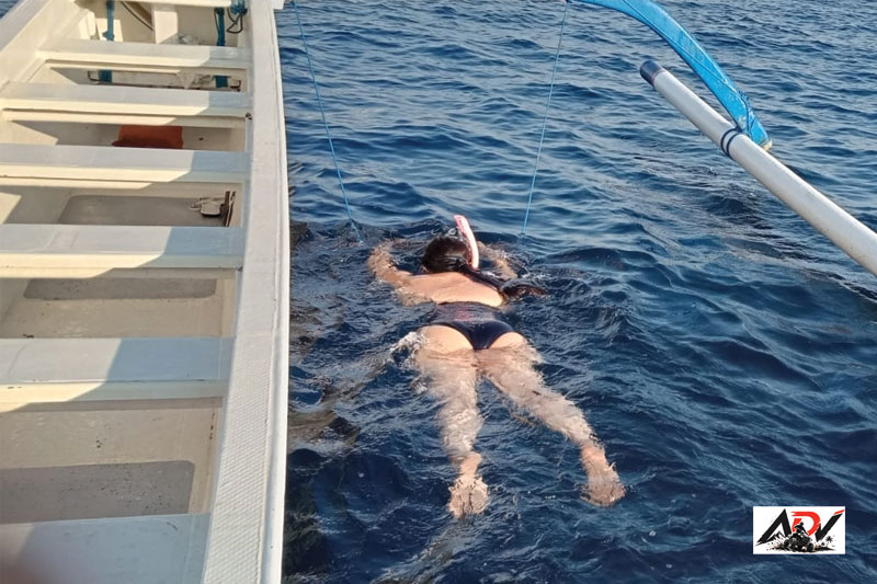 Lovina Dolphin Tour guest moment 4